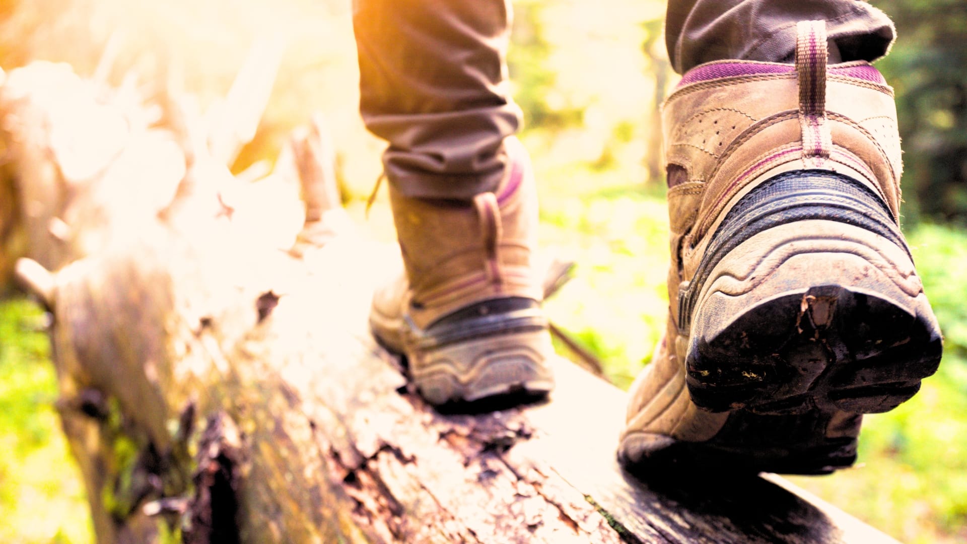 Backpacking Guide Hiking Boots