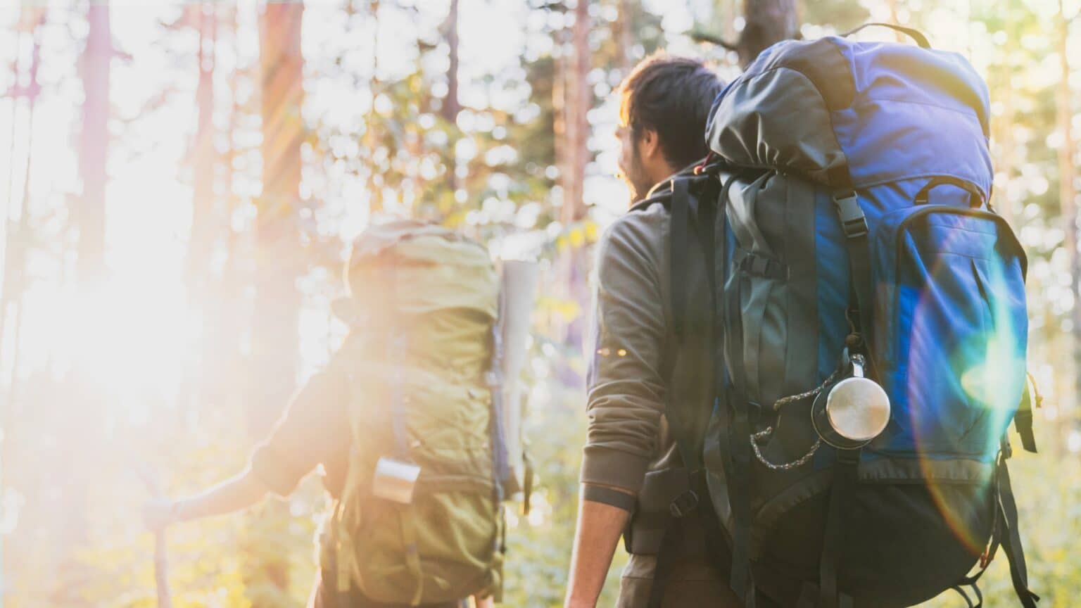 What is Backpacking?