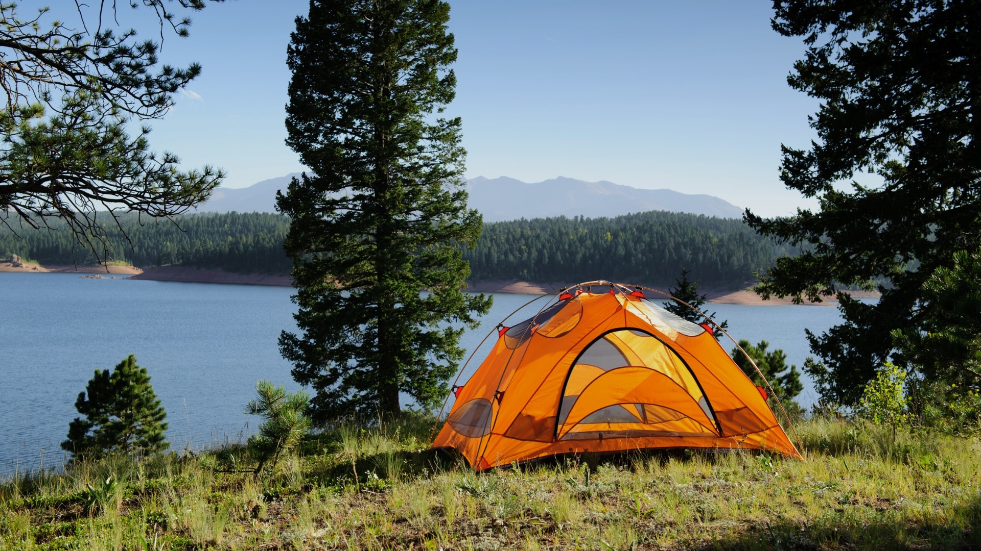 top backpacking tents reviewed